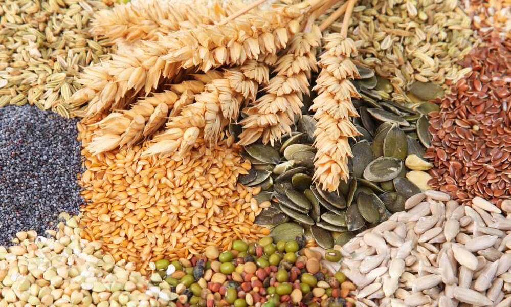 Фумигация продукции